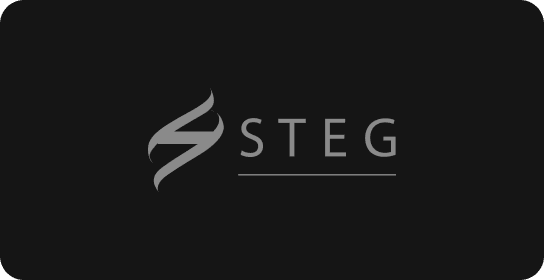 STEG