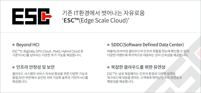 기존 IT환경에서 벗어나는 자유로움 ESC(Edge Scale Cloud)